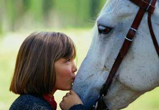 horse gifts photo