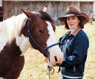 horse gifts photo